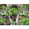 RAVENSBURGER Puzzle Marvel: Hulk XXL 100 dílků