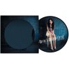 VINYL Amy Winehouse - BACK TO BLACK 1 LP (Picture Disc) (Amy Winehouse - BACK TO BLACK 1 LP (Picture Disc))