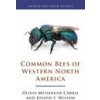 Common Bees of Western North America