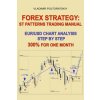 Forex Strategy: ST Patterns Trading Manual, EUR/USD Chart Analysis Step by Step, 300% for One Month