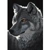 GRAFIKA Puzzle Nočný vlk 1000 dielikov