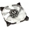BitFenix Spectre Xtreme BFF-SXTR-12025W-RP