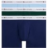 Pánske boxerky Tommy Hilfiger Brief 3P - ornamental green/purple navy/vessel blue - Viacfarebný (L)