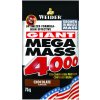 Weider Giant Mega mass 4000 75 g