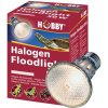 Hobby Diamond Halogen Floodlight 50W