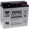 YUASA Olovený akumulátor REC22-12I hlboký cyklus - 22Ah Lead-Acid 12V - originálny