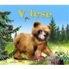 V lese - Kolektiv
