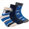 RS Dětské chlapecké zkrácené ponožky VIKING Kluk