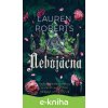 E-kniha Nebojácna - Lauren Roberts
