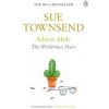 Adrian Mole: Wilderness Years - Sue Townsend, Penguin Books Ltd