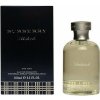 Burberry Weekend toaletná voda pánska 100 ml