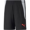 Puma teamLIGA Training Shorts 2 Jr