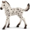 Schleich 13890 Knabstrupper Horse žriebä