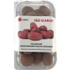 Sadbové zemiaky Red Scarlett - minihľuzy 1kg