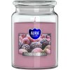 BISPOL-AURA Frozen Berries 500g
