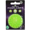 Dog Comets Exoplanet ježatá lopta zelená S/5cm