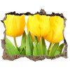 Samolepící díra na stěnu Žlté tulipány 95x64 cm