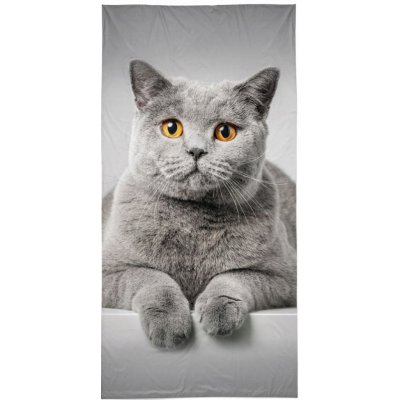 Detexpol britská mačka Osuška 70 x 140 cm sivá