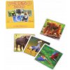 Rappa 303146 Memory v krabici Zoo