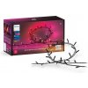 Ambiance 8720169246621 PHILIPS HUE White and Color Festavia string lights vianočná svetelná reťaz 250 LED 20m 2000-6500K+RGB IP44/IP54 čierna
