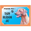Dafiko Tabulka Tady hlídám! Rhodéský ridgeback 1ks