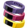 Garmin vívofit 2 remienky - Energy (veľké)