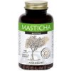 MASTICHA ACTIVE - Apothecary cps 1x100 ks