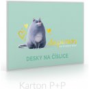 Karton P+P Desky na číslice PETS