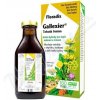Salus Floradix Gallexier 250ml
