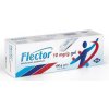 Flector EP gél gel.der.1 x 100 g