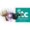 ITC Reef delete UV-C Pest Control light