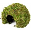 Repti Zoo Natural Mossy Dome S – mechový prístrešok