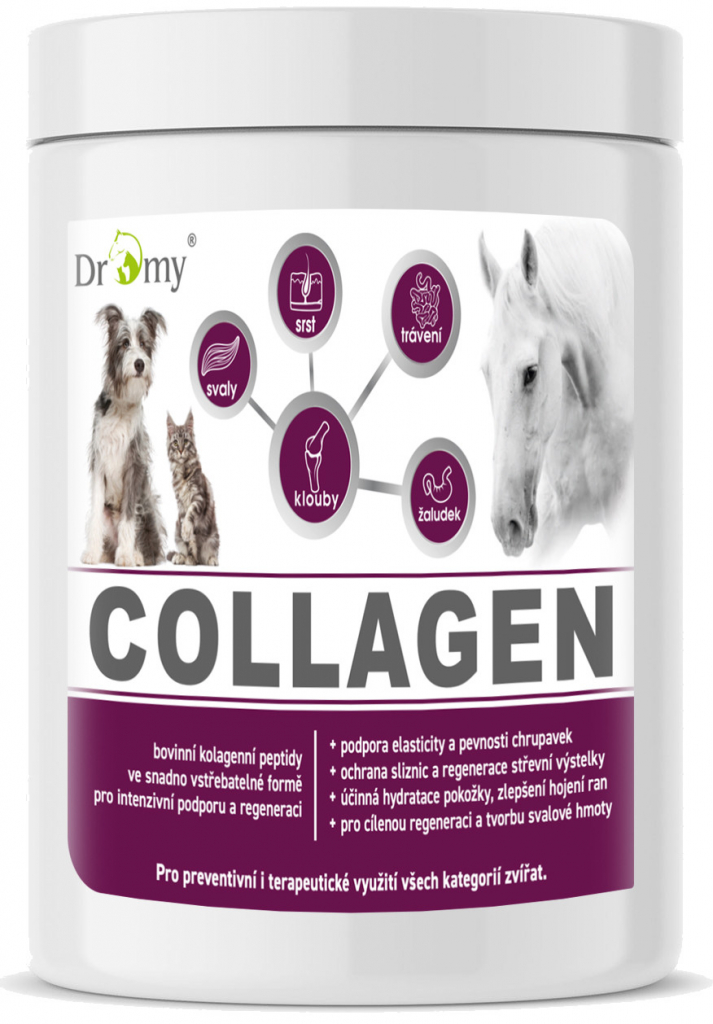 Dromy Collagen 2500 g 90 dávok