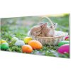 Nástenný panel králiky vajcia 100x50 cm