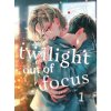Vertical Inc. Twilight Out of Focus 1