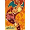 Pokémon - Fire Type plagát
