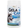 Orling Chondrocan Forte 500 g