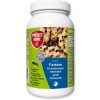 PROTECT HOME FASTION Granulovaná nástraha proti mravcom 180g