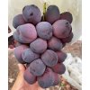 Vinič Black Shine Muscat Grape Japonská novinka originál zavrúbľované sadenice z japonska