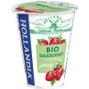 Hollandia BIO Gazdovský jogurt jahoda