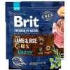 Brit Premium by Nature Sensitive Lamb 1 kg