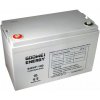 MHPower 6-EVF-100 GEL 12V 100Ah