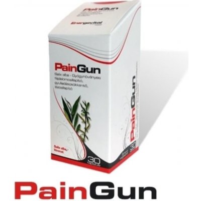 Energovital Pain Gun bylinný, prírodný prostriedok proti bolesti 30 kapsúl