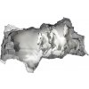 Diera 3D fototapeta na stenu Biele kone 95x73 cm