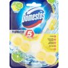 Domestos Power 5 tuhý WC blok Lime 55 g