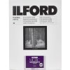 1x 25 Ilford MG RC DL 44M 18x24