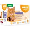 Iams Cat Multibox zo suchozemského mäsa 12 x 85 g