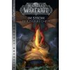 World of Warcraft: Im Strom der Dunkelheit (Aaron Rosenberg,Mick Schnelle)(Brožovaná)