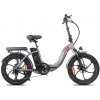 FAFREES F20 Pro Elektrický bicykel -250 W Farba: Sivá