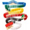 Small Foot Domino: Rallye Zoo